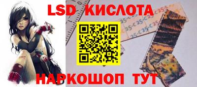 амф Новозыбков