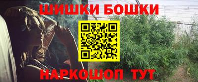 шишки Обнинск