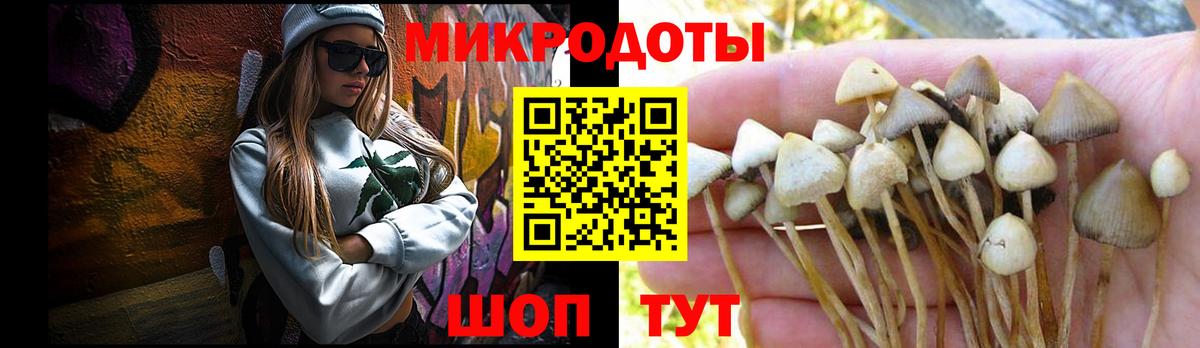 Псилоцибиновые грибы Magic Shrooms  Вход с VPN  Старая Купавна  Галлюциногенные грибы ЛСД 